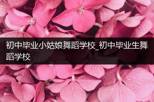 初中毕业小姑娘舞蹈学校_初中毕业生舞蹈学校