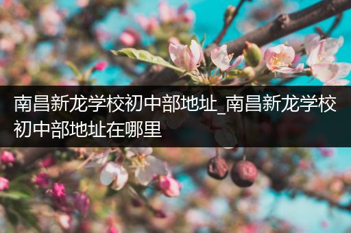 南昌新龙学校初中部地址_南昌新龙学校初中部地址在哪里