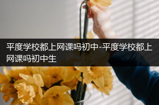 平度学校都上网课吗初中-平度学校都上网课吗初中生