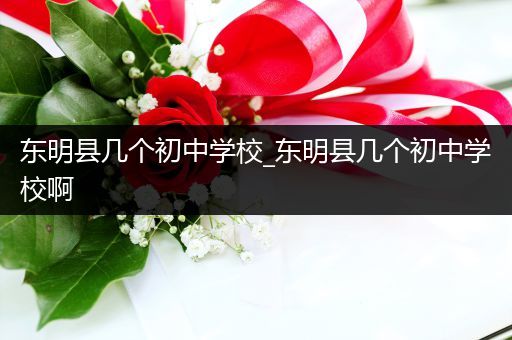 东明县几个初中学校_东明县几个初中学校啊