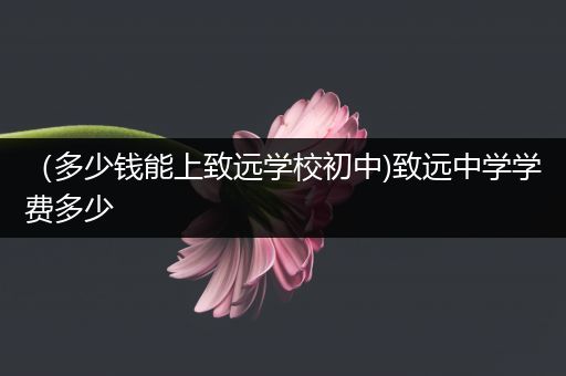 （多少钱能上致远学校初中)致远中学学费多少