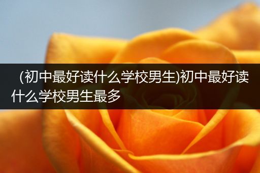 （初中最好读什么学校男生)初中最好读什么学校男生最多