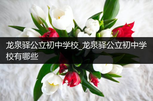 龙泉驿公立初中学校_龙泉驿公立初中学校有哪些
