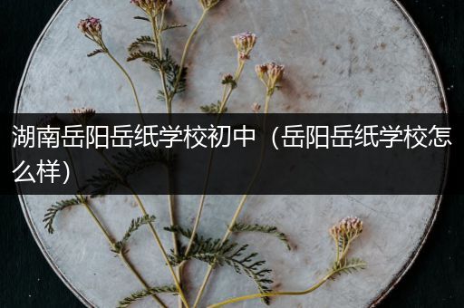 湖南岳阳岳纸学校初中（岳阳岳纸学校怎么样）