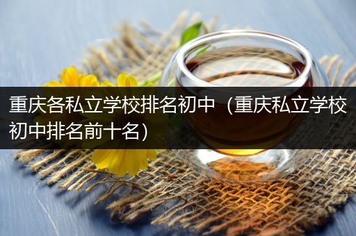重庆各私立学校排名初中（重庆私立学校初中排名前十名）