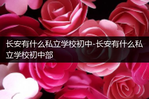 长安有什么私立学校初中-长安有什么私立学校初中部