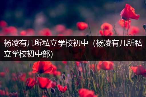 杨凌有几所私立学校初中（杨凌有几所私立学校初中部）