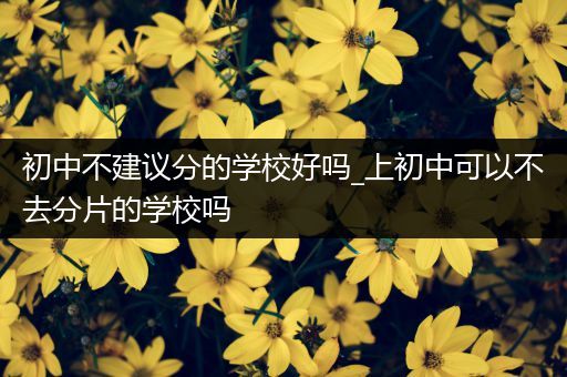 初中不建议分的学校好吗_上初中可以不去分片的学校吗