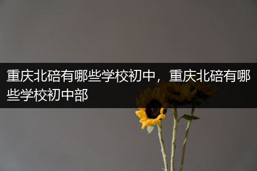 重庆北碚有哪些学校初中，重庆北碚有哪些学校初中部
