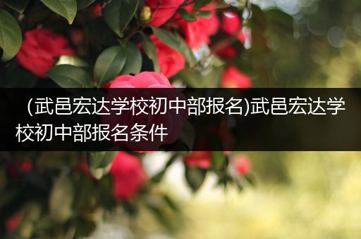 （武邑宏达学校初中部报名)武邑宏达学校初中部报名条件