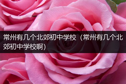 常州有几个北郊初中学校（常州有几个北郊初中学校啊）