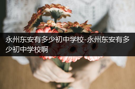 永州东安有多少初中学校-永州东安有多少初中学校啊