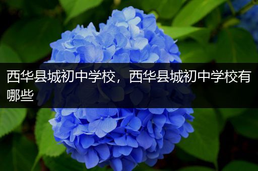 西华县城初中学校，西华县城初中学校有哪些