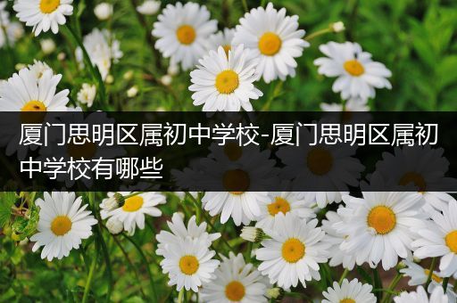 厦门思明区属初中学校-厦门思明区属初中学校有哪些