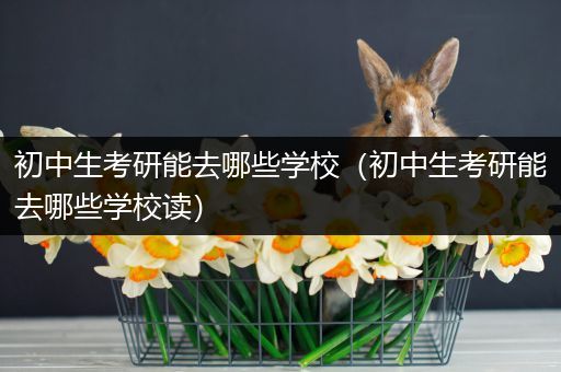 初中生考研能去哪些学校（初中生考研能去哪些学校读）