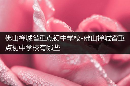 佛山禅城省重点初中学校-佛山禅城省重点初中学校有哪些
