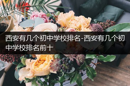 西安有几个初中学校排名-西安有几个初中学校排名前十