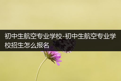 初中生航空专业学校-初中生航空专业学校招生怎么报名