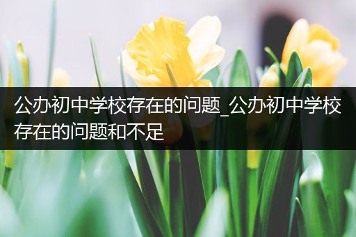 公办初中学校存在的问题_公办初中学校存在的问题和不足