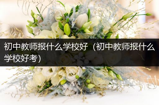 初中教师报什么学校好（初中教师报什么学校好考）