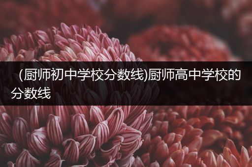 （厨师初中学校分数线)厨师高中学校的分数线