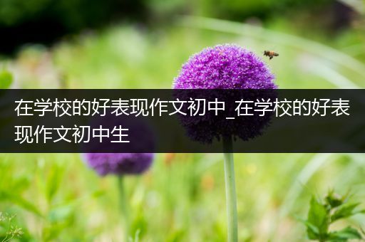 在学校的好表现作文初中_在学校的好表现作文初中生