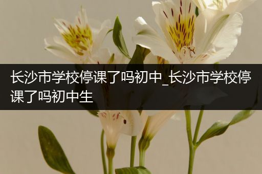 长沙市学校停课了吗初中_长沙市学校停课了吗初中生