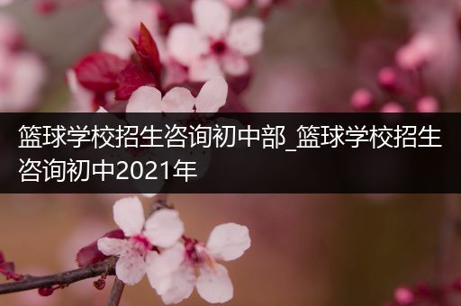 篮球学校招生咨询初中部_篮球学校招生咨询初中2021年