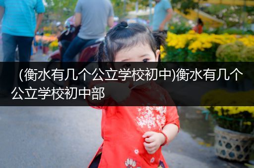 （衡水有几个公立学校初中)衡水有几个公立学校初中部