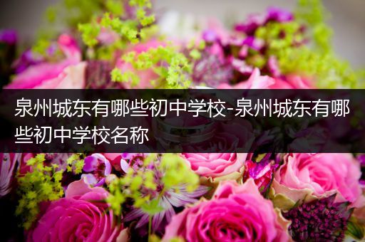 泉州城东有哪些初中学校-泉州城东有哪些初中学校名称