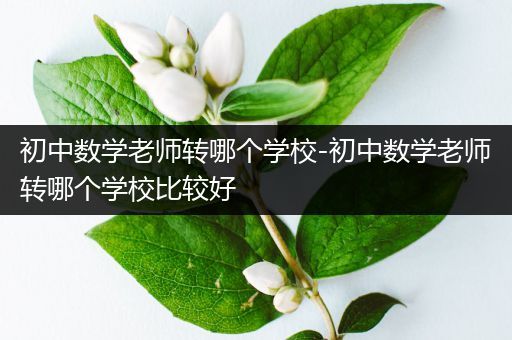 初中数学老师转哪个学校-初中数学老师转哪个学校比较好