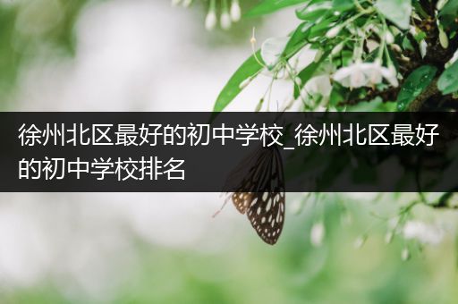 徐州北区最好的初中学校_徐州北区最好的初中学校排名