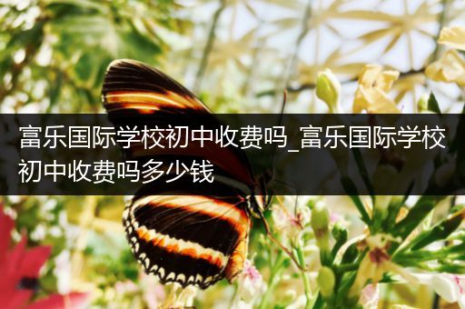 富乐国际学校初中收费吗_富乐国际学校初中收费吗多少钱