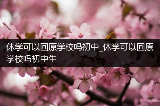 休学可以回原学校吗初中_休学可以回原学校吗初中生