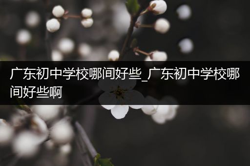 广东初中学校哪间好些_广东初中学校哪间好些啊