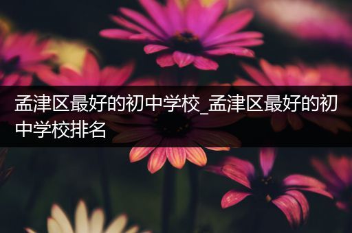 孟津区最好的初中学校_孟津区最好的初中学校排名