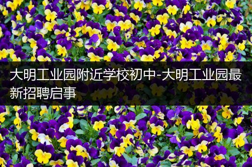 大明工业园附近学校初中-大明工业园最新招聘启事