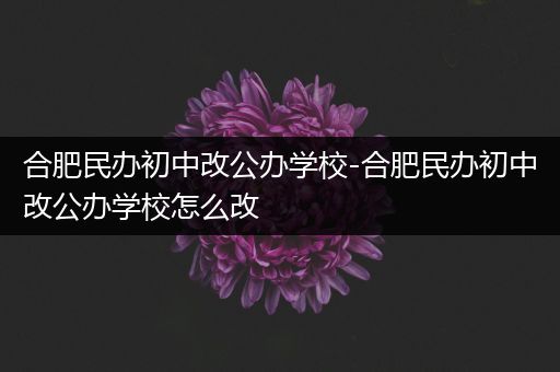 合肥民办初中改公办学校-合肥民办初中改公办学校怎么改