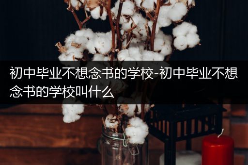 初中毕业不想念书的学校-初中毕业不想念书的学校叫什么