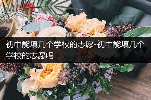 初中能填几个学校的志愿-初中能填几个学校的志愿吗