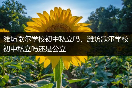潍坊歌尔学校初中私立吗，潍坊歌尔学校初中私立吗还是公立