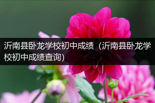 沂南县卧龙学校初中成绩（沂南县卧龙学校初中成绩查询）