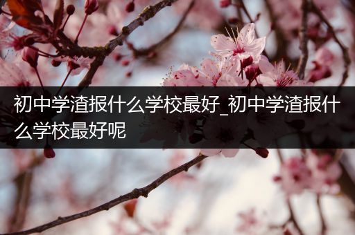 初中学渣报什么学校最好_初中学渣报什么学校最好呢