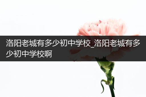 洛阳老城有多少初中学校_洛阳老城有多少初中学校啊