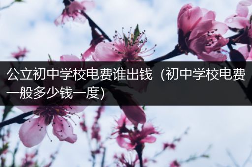 公立初中学校电费谁出钱（初中学校电费一般多少钱一度）