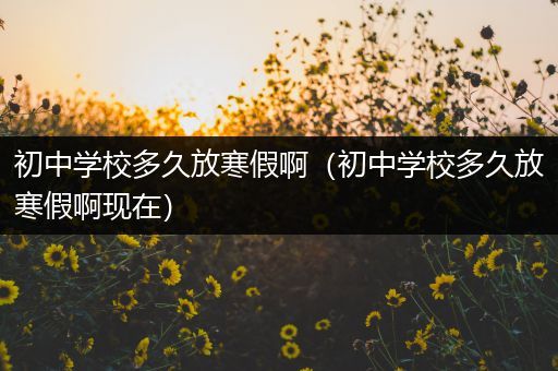 初中学校多久放寒假啊（初中学校多久放寒假啊现在）