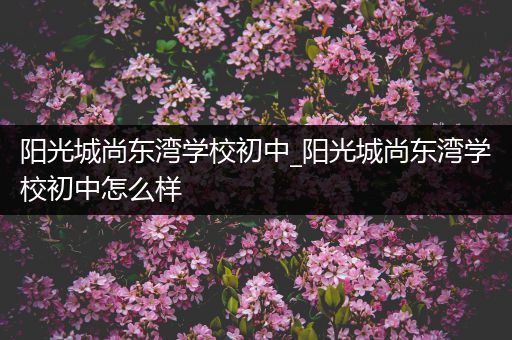 阳光城尚东湾学校初中_阳光城尚东湾学校初中怎么样