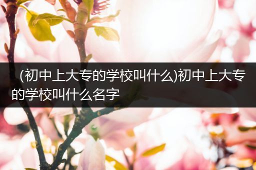 （初中上大专的学校叫什么)初中上大专的学校叫什么名字