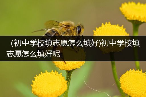 （初中学校填志愿怎么填好)初中学校填志愿怎么填好呢