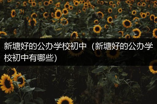 新塘好的公办学校初中（新塘好的公办学校初中有哪些）